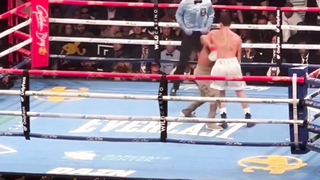 HANEY VS GARCIA FIGHT HIGHLIGHTS! HANEY DOWN 7 AND 10 ROUND!