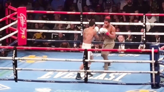 HANEY VS GARCIA FIGHT HIGHLIGHTS! HANEY DOWN 7 AND 10 ROUND!