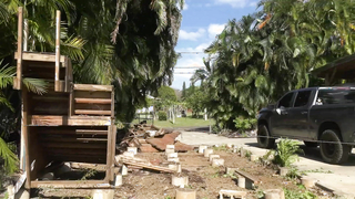 Zion's Oahu and Hawaii Adventure: Curated and Edited by Zion Wright & Tanner Carney