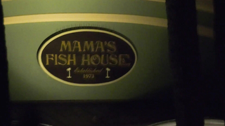 Zion's Oahu and Hawaii Adventure: Curated and Edited by Zion Wright & Tanner Carney