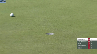 2024 Wells Fargo Championship, Final Round | EXTENDED HIGHLIGHTS | 5/12/24 | Golf Channel