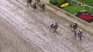 Witness the Thrilling 149th Running of the Preakness Stakes