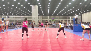 Vanessa Grant's Impeccable Volleyball Highlights