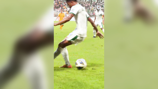 A beautiful nutmeg from Daniel Arzani