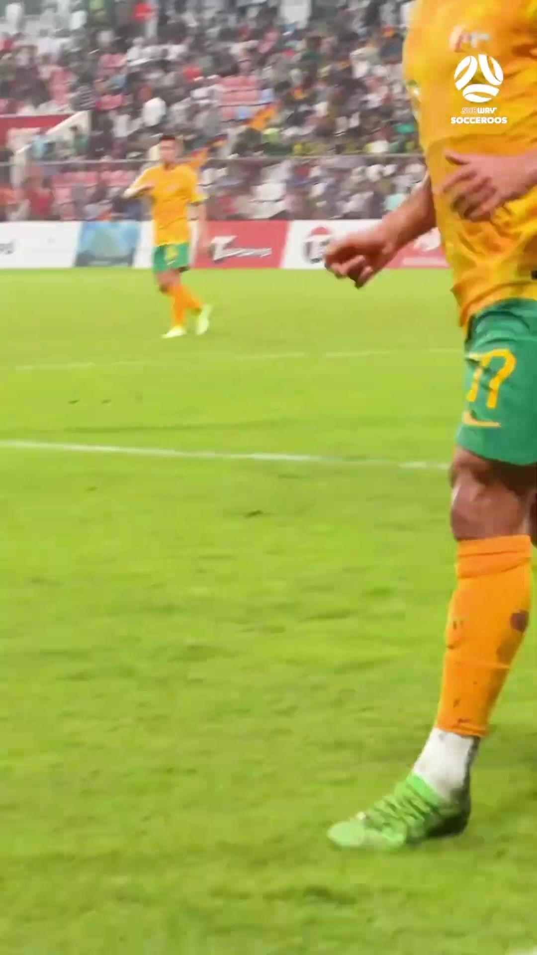 A beautiful nutmeg from Daniel Arzani