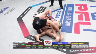 PFL 6, 2024: Complete Finishes Compilation