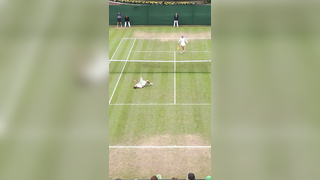 Masterful Moment: A Perfect Play at Wimbledon