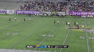 2023 UFA Championship Game: Salt Lake vs. New York Ultimate Frisbee Showdown