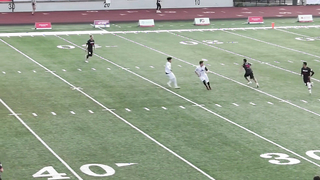 Cohen's Cut: San Diego Handler Movement