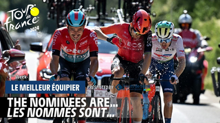 Votez pour le Meilleur Equipier de la 3ème semaine du Tour de France !