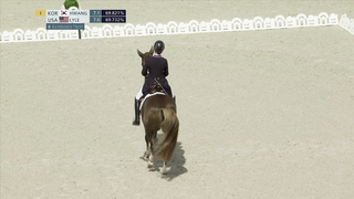 Adrienne Lyle and Helix Deliver Impressive Dressage Routine for Team USA at Paris Olympics