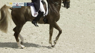 Adrienne Lyle and Helix Deliver Impressive Dressage Routine for Team USA at Paris Olympics