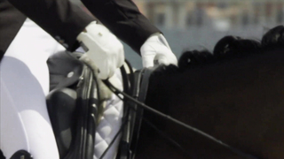 Belgium's Larissa Pauluis Shines with Strong Routine on Day 1 of Dressage at Paris Olympics