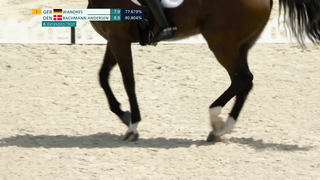 Equestrian Individual Dressage, Day One: Top Performances from the Paris Olympics