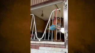 Meet Ben Maher: British Jumping Phenom and Tokyo Gold Medalist | Paris Olympics