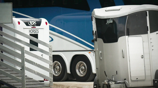 Horses Arrive in Style at the Iconic Château de Versailles for the Paris Olympics