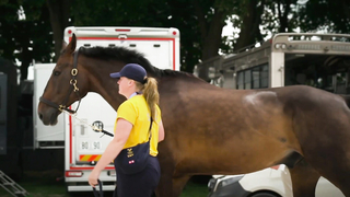 Horses Arrive in Style at the Iconic Château de Versailles for the Paris Olympics