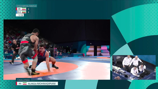 Bulgaria's Novikov Triumphs Over Iran's Mohmadipiani to Win Greco-Roman 87kg Gold at Paris Olympics