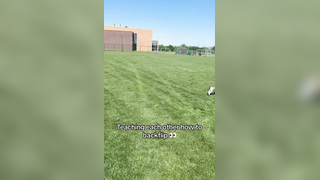 Y’all more brave than me @BOOM Football #backflip #football #ot7 #7on7 #7v7 #d1 #fail #funny