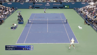 Grigor Dimitrov vs. Frances Tiafoe Highlights | 2024 US Open Quarterfinal