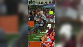 ROLL TIDE ROLL @Alabama Athletics @College GameDay #kalendeboer #rolltide #alabama #alabamafootball #bama #crimsontide #collegefootball #gameday #collegegameday #football #footballtok #sports #sportstok #patmcafee #patmcafeeshow #thepatmcafeeshow #thepatm