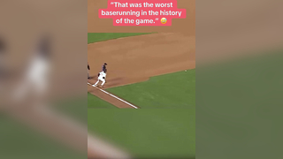 This was chaos #mlb #baseball #lol #sports