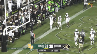 Travis Hunter 2024 Colorado Buffaloes Full Season Highlights | Future No. 1 Pick?