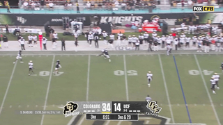 Travis Hunter 2024 Colorado Buffaloes Full Season Highlights | Future No. 1 Pick?