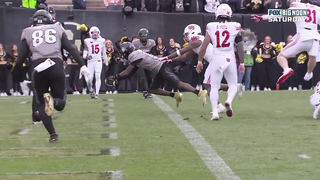 Travis Hunter 2024 Colorado Buffaloes Full Season Highlights | Future No. 1 Pick?