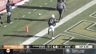 Travis Hunter 2024 Colorado Buffaloes Full Season Highlights | Future No. 1 Pick?