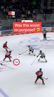 Was That Assist Intentional? | Augsburger Panther Highlight