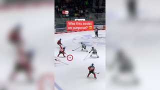 Was That Assist Intentional? | Augsburger Panther Highlight