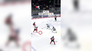 Was That Assist Intentional? | Augsburger Panther Highlight