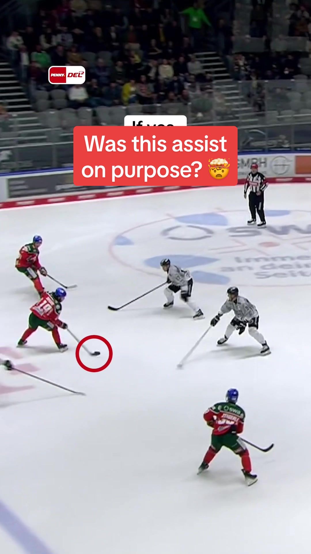 Was That Assist Intentional? | Augsburger Panther Highlight