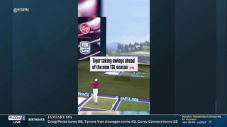 Is there appetite for Tiger Woods, Rory McIlroy's TGL golf league?