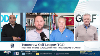 Is there appetite for Tiger Woods, Rory McIlroy's TGL golf league?