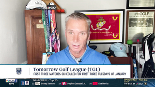 Is there appetite for Tiger Woods, Rory McIlroy's TGL golf league?