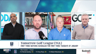 Is there appetite for Tiger Woods, Rory McIlroy's TGL golf league?