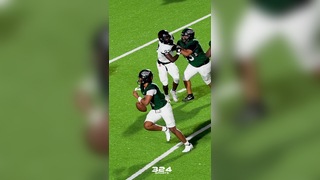 UNREAL Catch for the TOUCHDOWN!! #324sports #footballtiktok #highlight