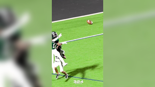 UNREAL Catch for the TOUCHDOWN!! #324sports #footballtiktok #highlight