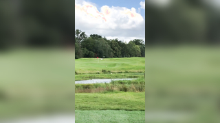 Existirá sensacion mas linda en el #FootGolf que ver bola la pelota y ver como entra en el hoyo? #yasejuega #gatwick #holeinone #hoyoenuno #golf #futbol #football