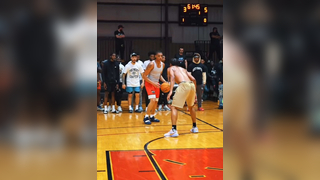 The coldest crossover ever seen? (@The Next Chapter) #nba #basketball #sports #fyp