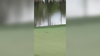 Brooks Koepka, ace! #themasters #holeinone #ace #sports