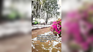 imagine if they win the tournament (@Aubz) #collegebasketball #finalfour #marchmadness #auburnuniversity