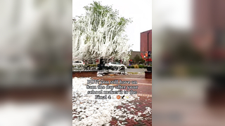 imagine if they win the tournament (@Aubz) #collegebasketball #finalfour #marchmadness #auburnuniversity