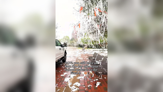 imagine if they win the tournament (@Aubz) #collegebasketball #finalfour #marchmadness #auburnuniversity