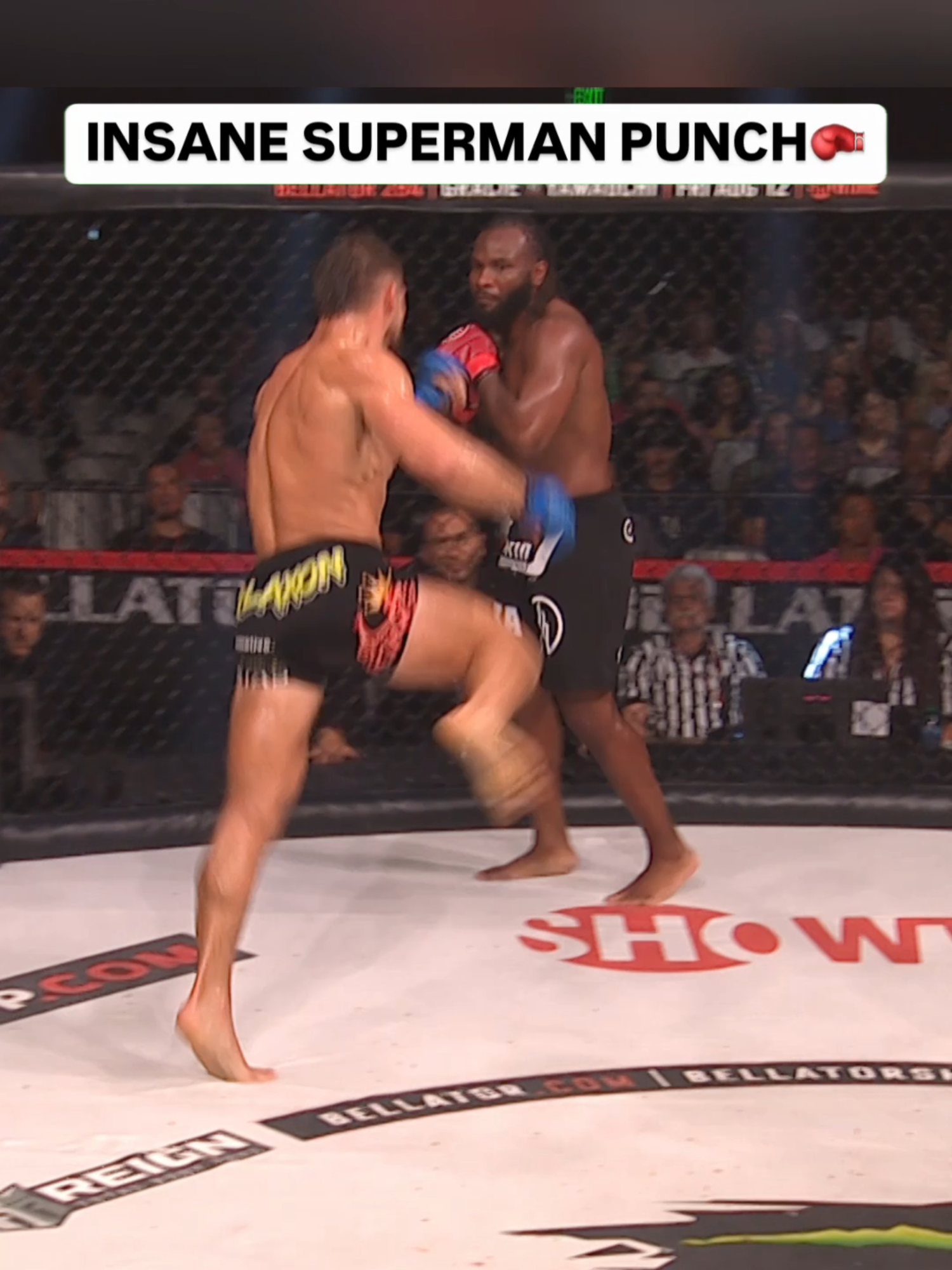 Dalton Rosta goes full Super Hero for this KO ‍ Rosta makes his PFL Debut this Friday night in the #PFLWorldTournament #PFL #bellator #MMA #CombatSports #combat #sports #sportstiktok #fight #ko #knockout #superman