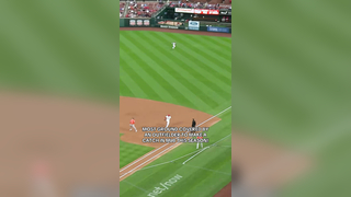 GET ON YOUR HORSE #highlight #baseball #mlb #cardinals
