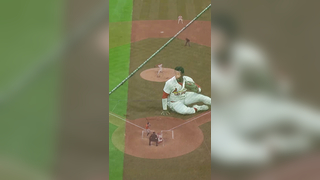 GET ON YOUR HORSE #highlight #baseball #mlb #cardinals