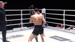 Leg Kicks That Get Increasingly SAVAGE